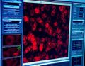 Mohinder looks at Molly's virus on a monitor in the Kirby Plaza building.