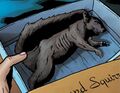 Linda uses her ability to kill small animals.
