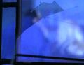 Matt is tasered through the window, and he and Claire are both captured.