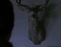 Upon entering, Sylar finds many taxidermied animals. A deer...
