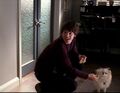 Mr. Muggles appreciates being fed waffles.