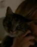 Emma's cat