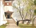 ...and secludes himself in Bhutan.