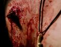 Peter's body regurgitates a bullet, then heals itself. (Kindred)