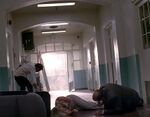 The Company's hospital